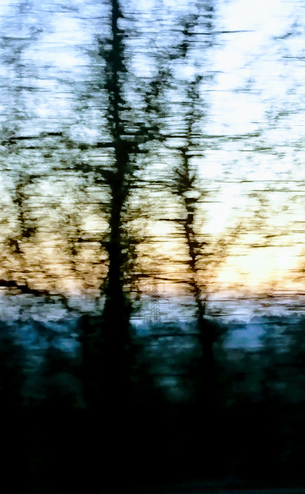 A wintery sunset taken from a moving car on the M4. The trees were skeletal, disjointed and silhouetted against bands of deep blue landscape in foreground, paler blue background and golden yellow sky. A faint Pylon can be seen through the trees Turned out quite arty!