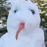 a small, depressed-looking, snow man