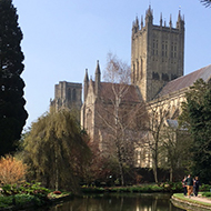 Rear view of Wells Cathedral with reflection in one of the wells that Wells takes it's name from.