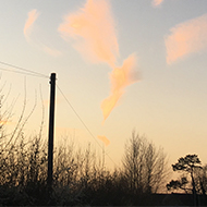 Clouds shaped like shodo strokes or impressionist flowers skating across a pink tinged evening sky