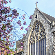 Farm street Church in Mount Street Gardens; bluebells and blossom