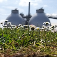 Silver colour digesters nestled amongst daisies