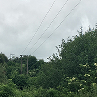 Powerlines threading over green fields and up a forested hill.