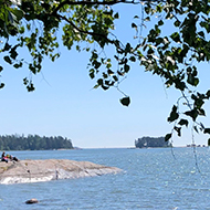 View of the sea through leaves.