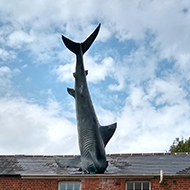 Headington Shark