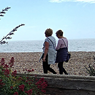 This picture shows the few from a beach cafe at the sea and some very colourful hardy plants that grow on the pebbly beach