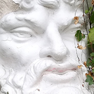 A classical statue head partially covered in vines.