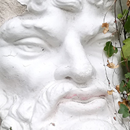 A classical statue head partially covered in vines.