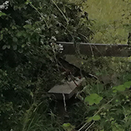 a style over a fence through a hedge