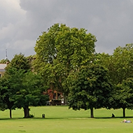 Playing fields on Peckham Rye in the sunlight, dark clouds approaching.