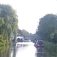 View from underneath bridge of canal, autumn colours, dog in garden next to canal keeping lookout.