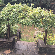 Garden view from bedroom window