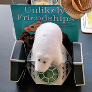 A small, decorative polar bear sits atop a cardboard spaceship with a calendar titled 'unlikely friends' sat behind it.