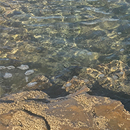 Shadows of the photographer cast over a tide pool