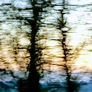 A wintery sunset taken from a moving car on the M4. The trees were skeletal, disjointed and silhouetted against bands of deep blue landscape in foreground, paler blue background and golden yellow sky. A faint Pylon can be seen through the trees Turned out quite arty!