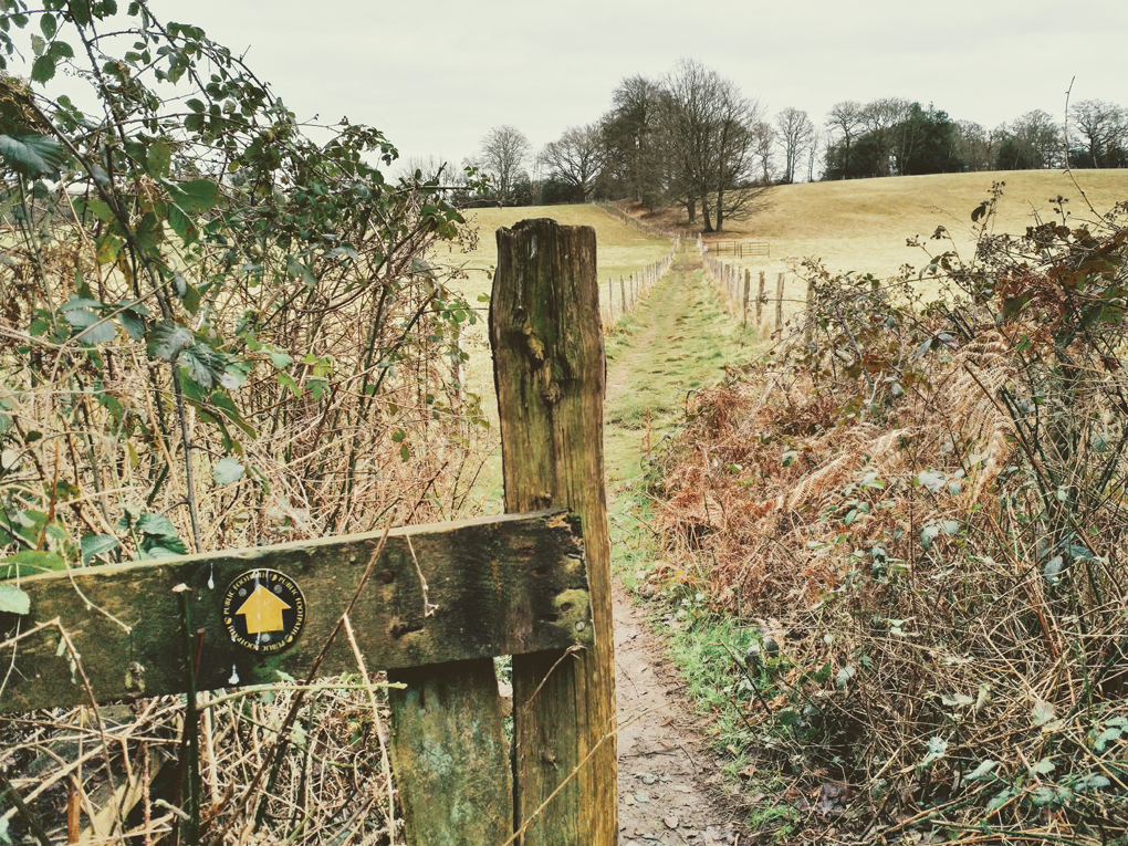 A wooden footpath marker with yellow arrow points the way to a grassy path between two fields stretching into the distance.