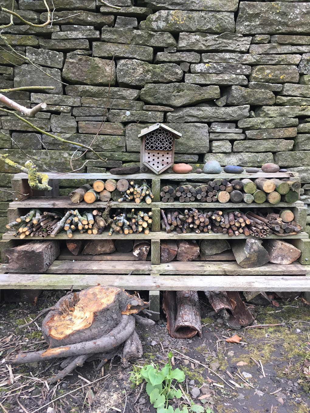 Bug Hotel