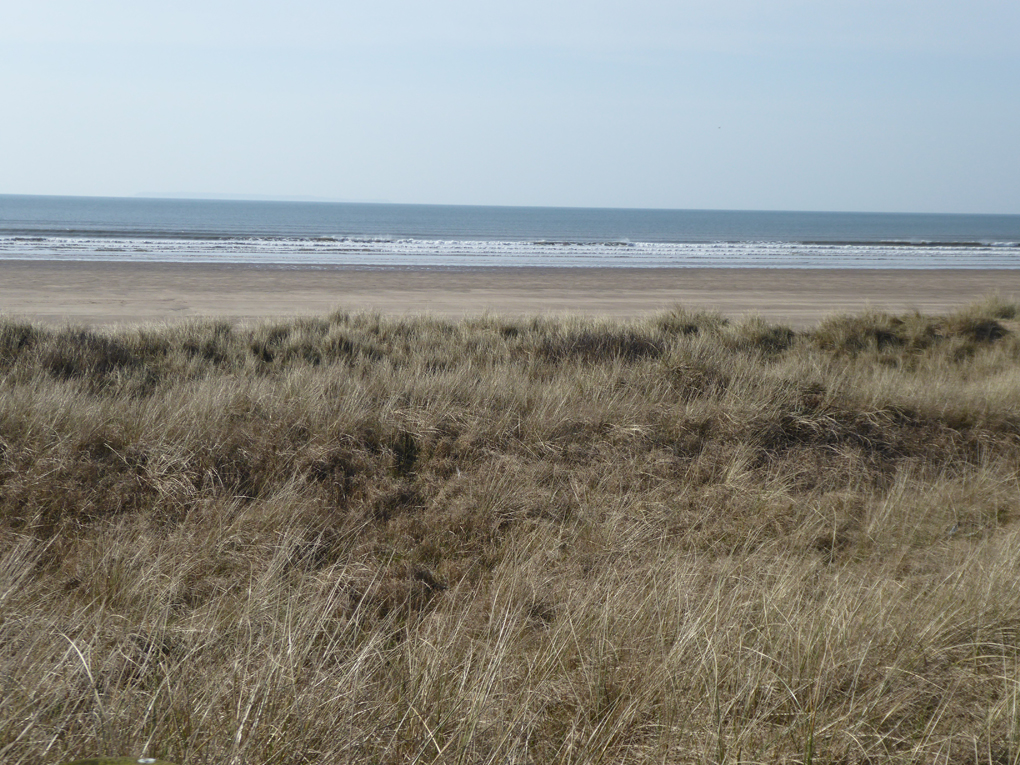 View of the sea from sand dunes