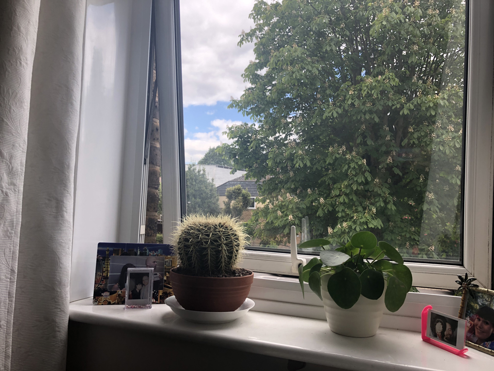 Window sill with cacti and photo frames