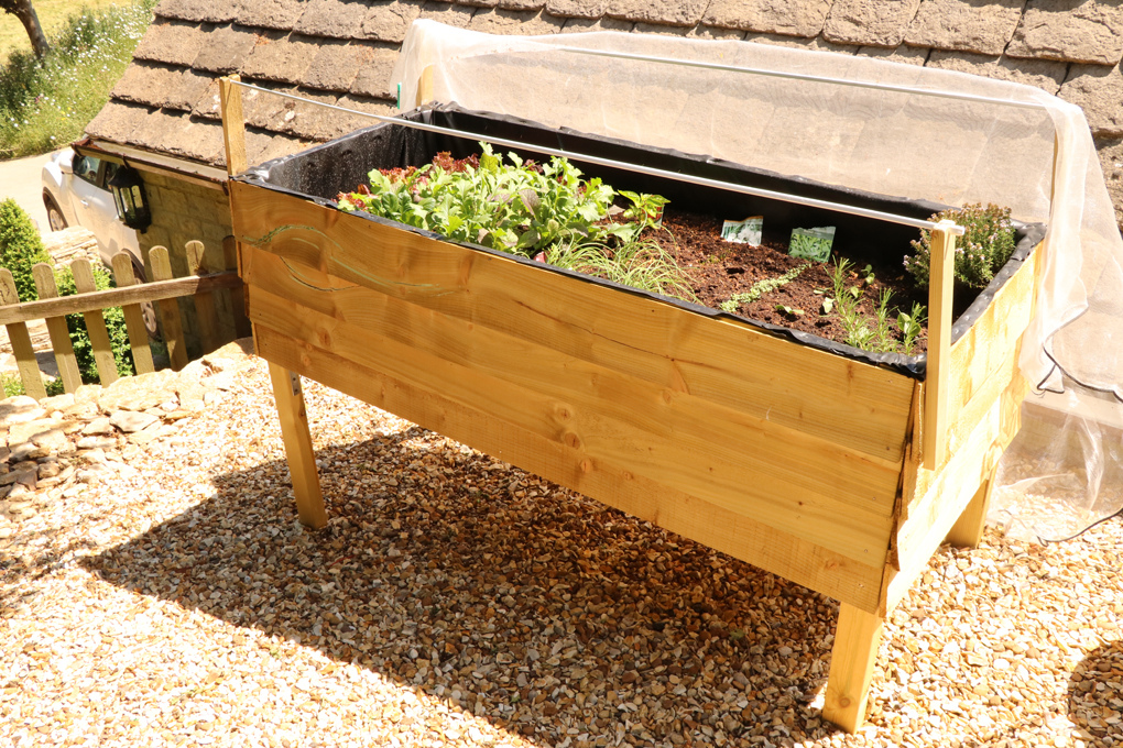 Vegetable Table