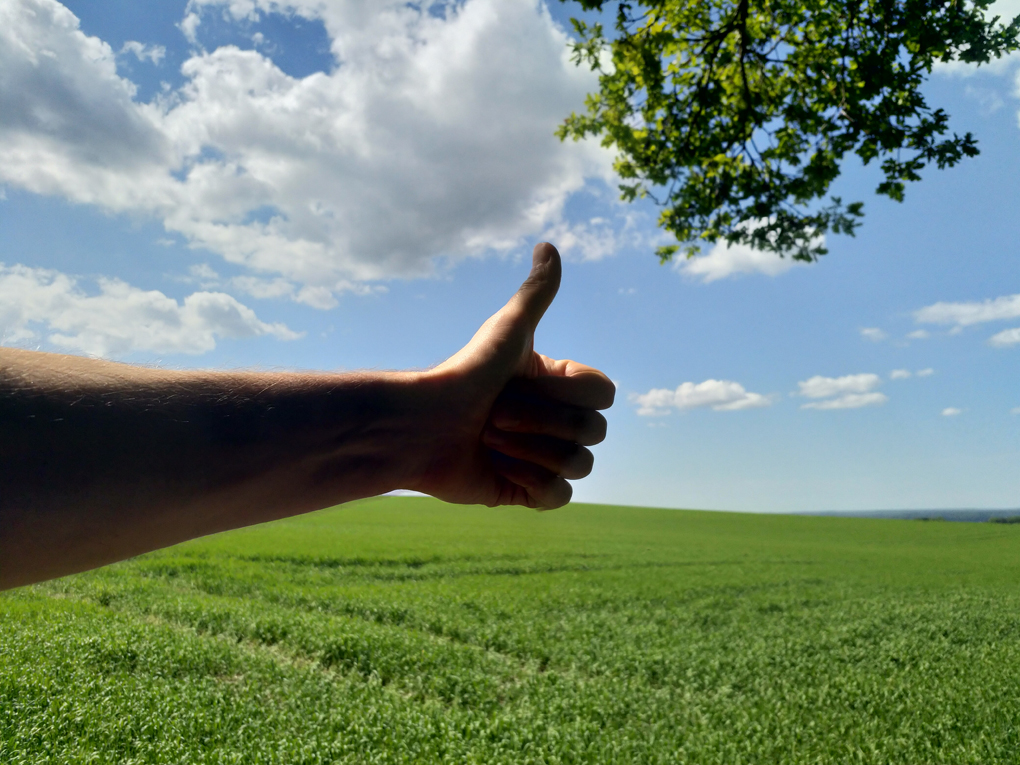 An arm extended with a thumbs up against a backdrop of a clear sky and bright leafy trees