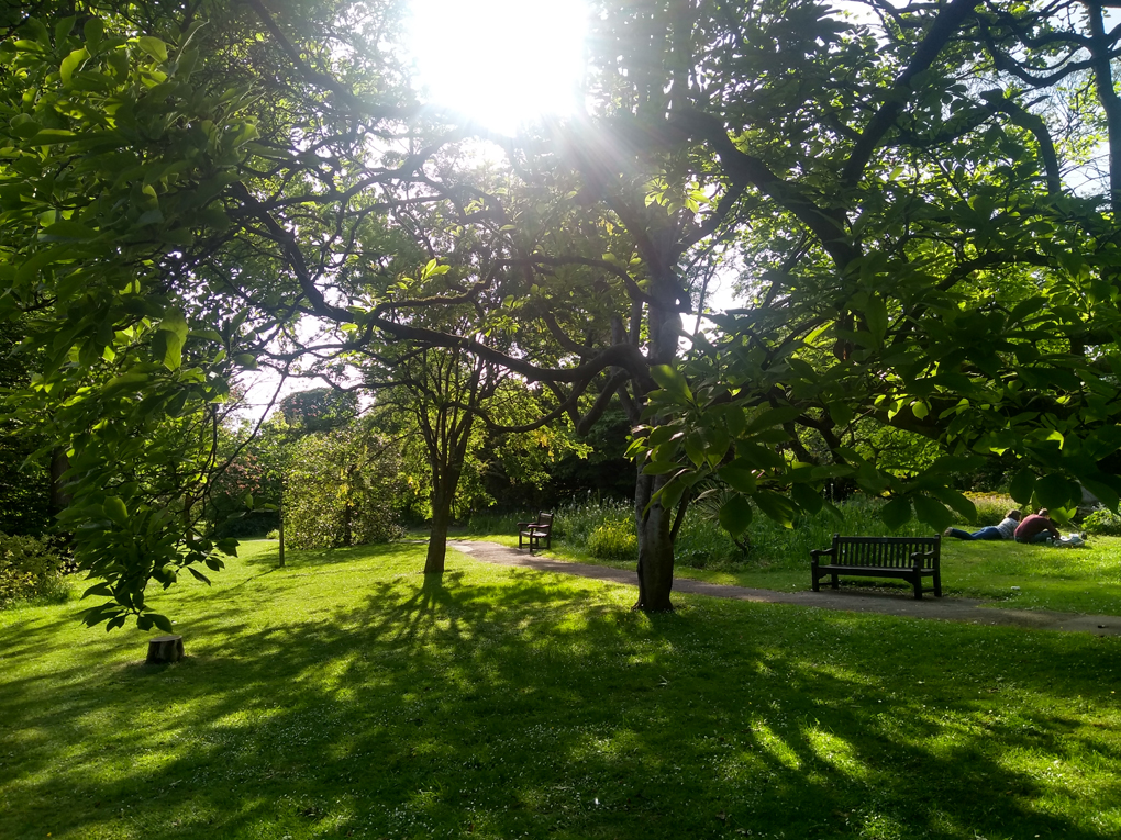 Botanical gardens, grass, trees, benches. Mostly just green with a couple of people sat on the grass at the edge.