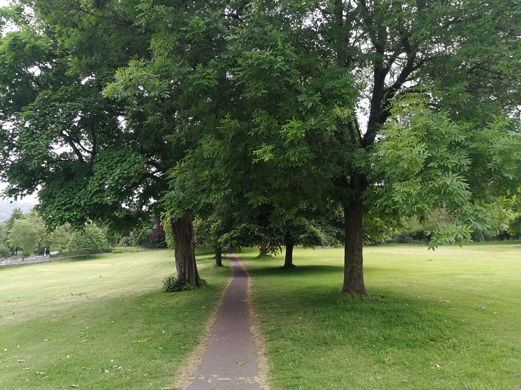 path between two trees