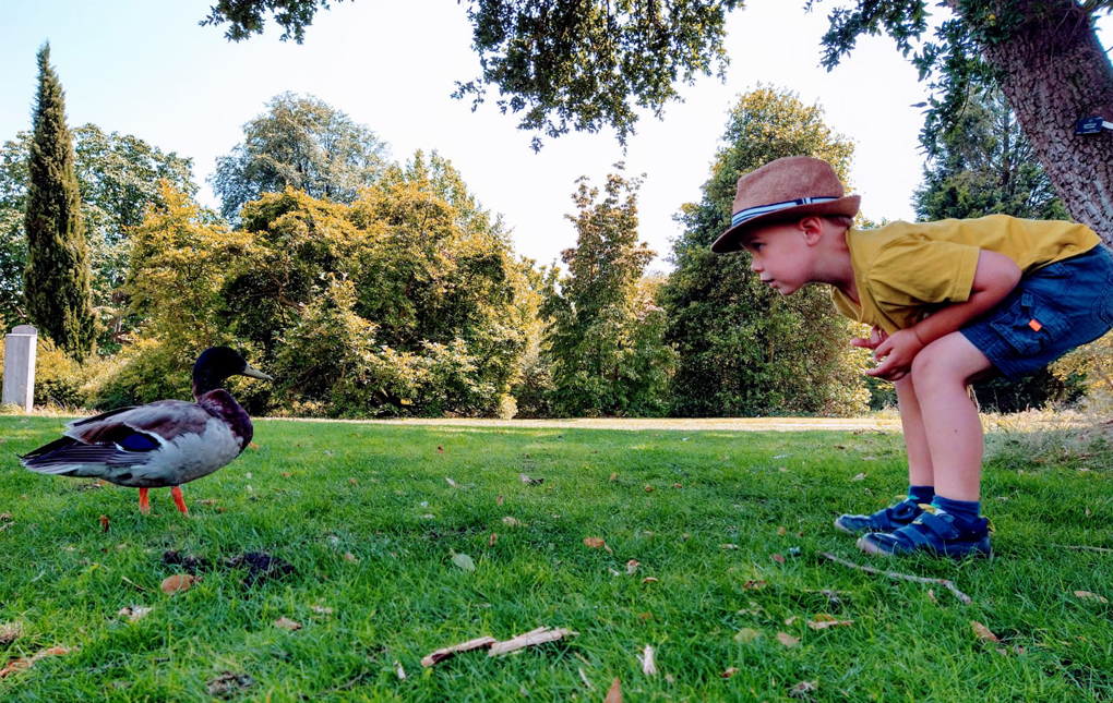 young boy talking to a duck