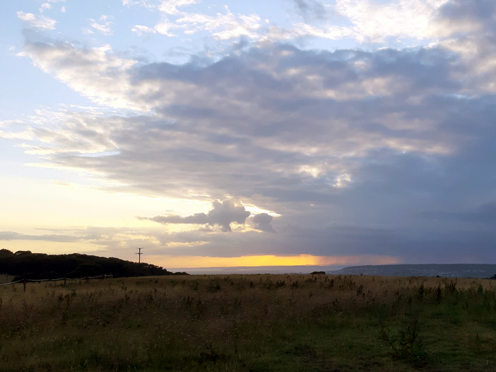 Dark storm clouds out to sea overlaying a bright sunset, viewed from a hillside