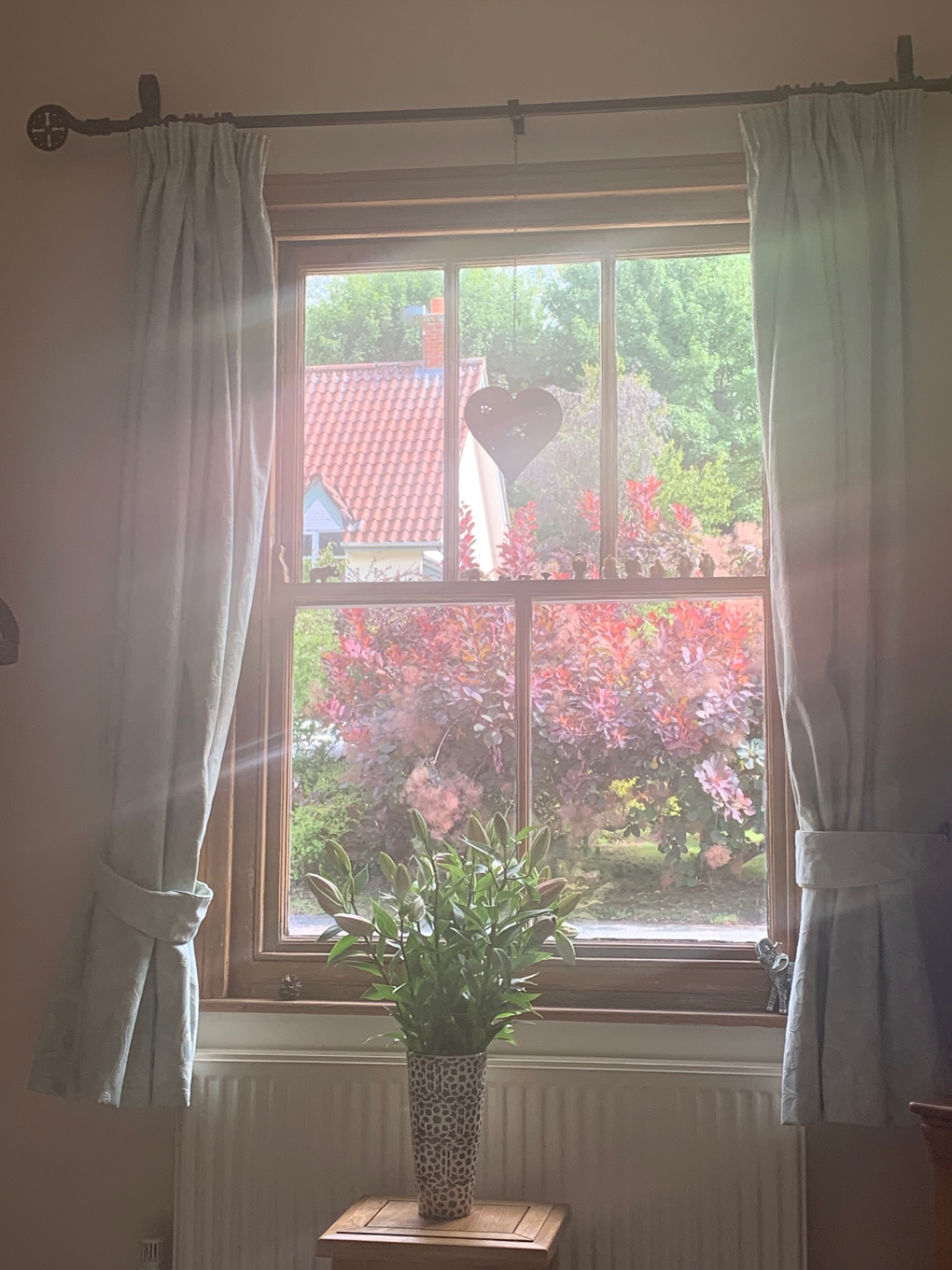 Window with light coming through onto lillies