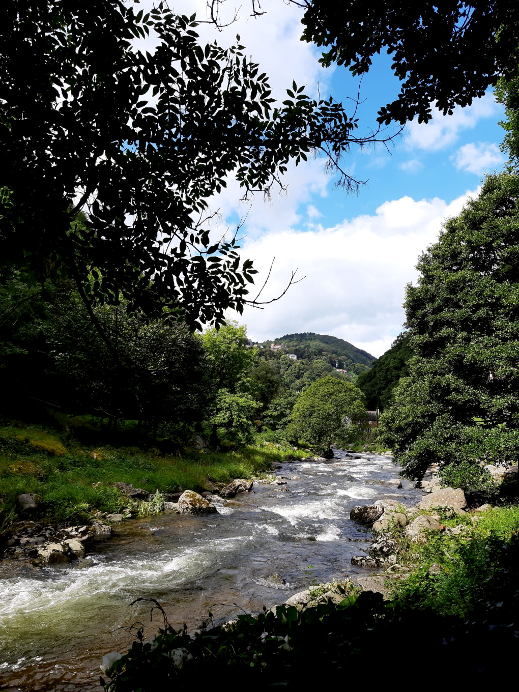 A rocky river flowing through a densely forested valley in southern England