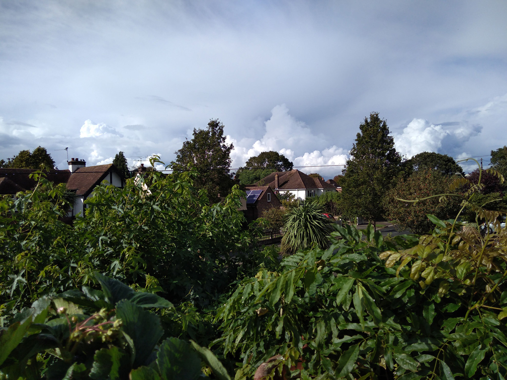 A lot of greenery is overshadowed by threatening clouds