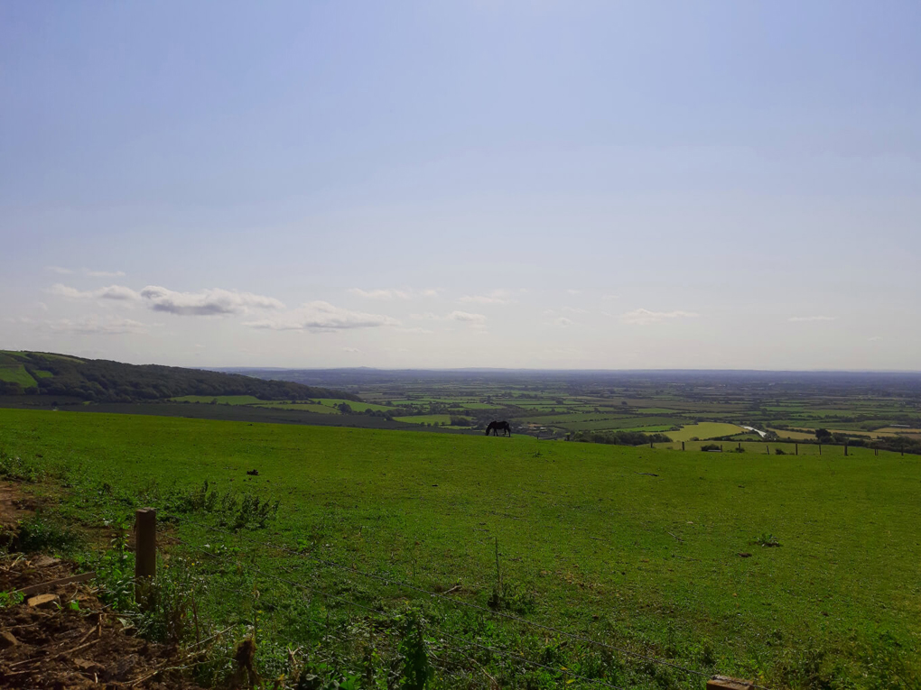 A broad view of a green valley in south-west of England