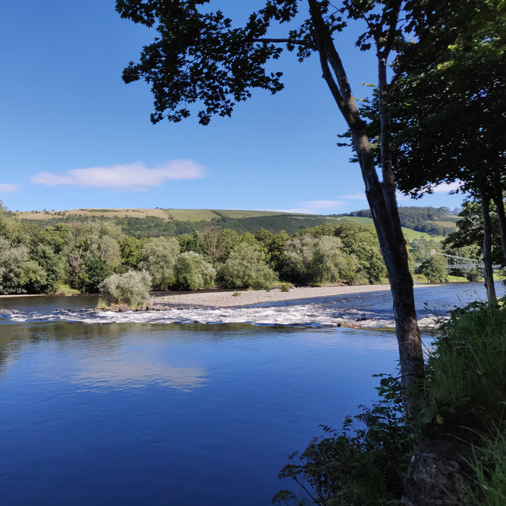 Under a shady tree, under a clear blue sky, walking alongside the River Tweed.