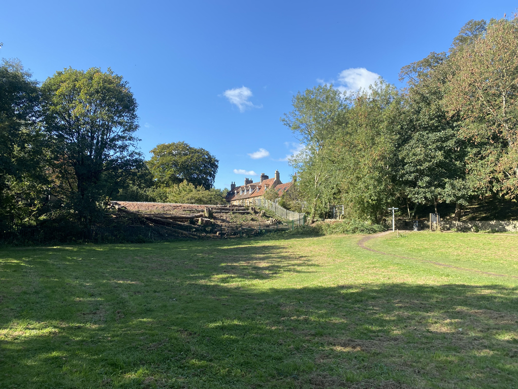 Trees felled on a railway siding reveal old stonework houses on the other side of the tracks. Everything is bathed in warm light, with some still standing trees casting deep and inviting shadows.