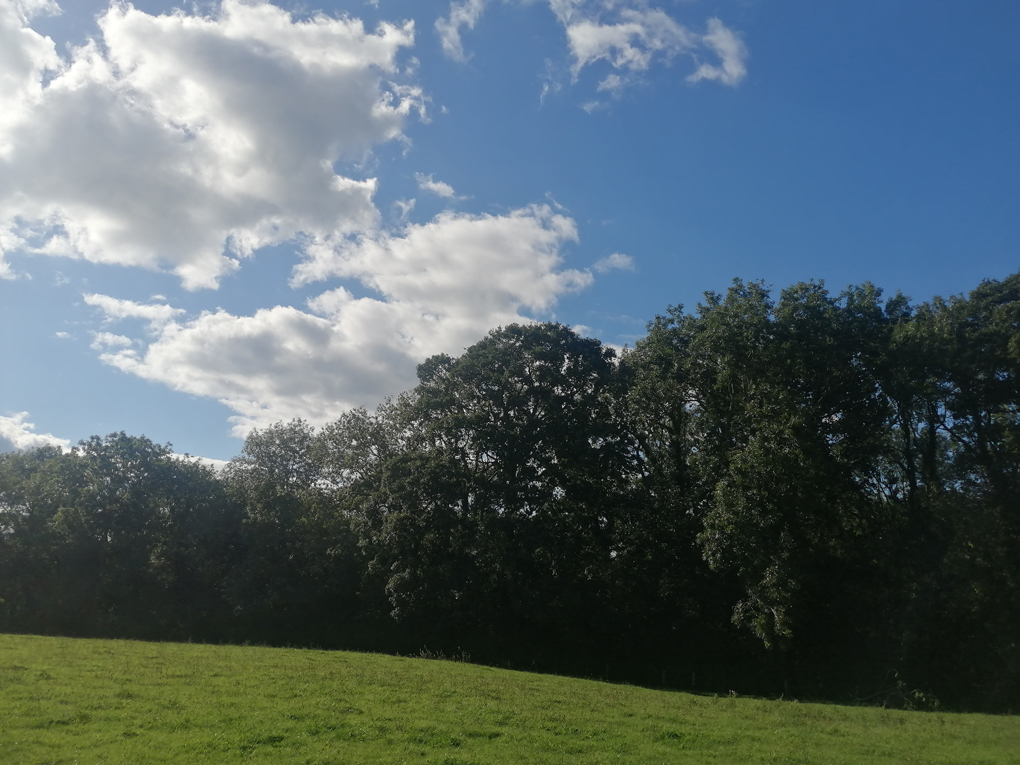 Blue skies and clouds. Rural scene.