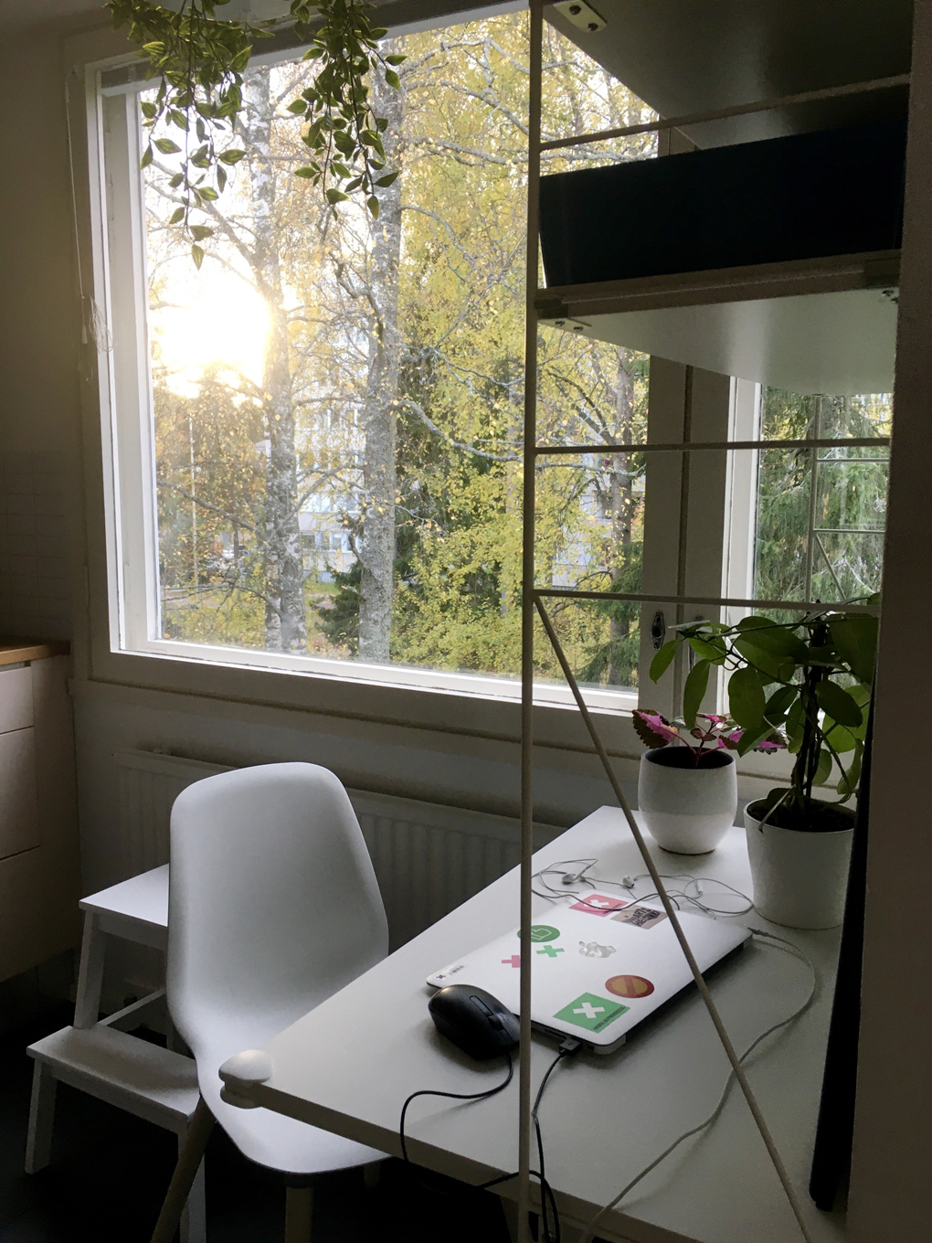 Shelves and a desk in front of a window.