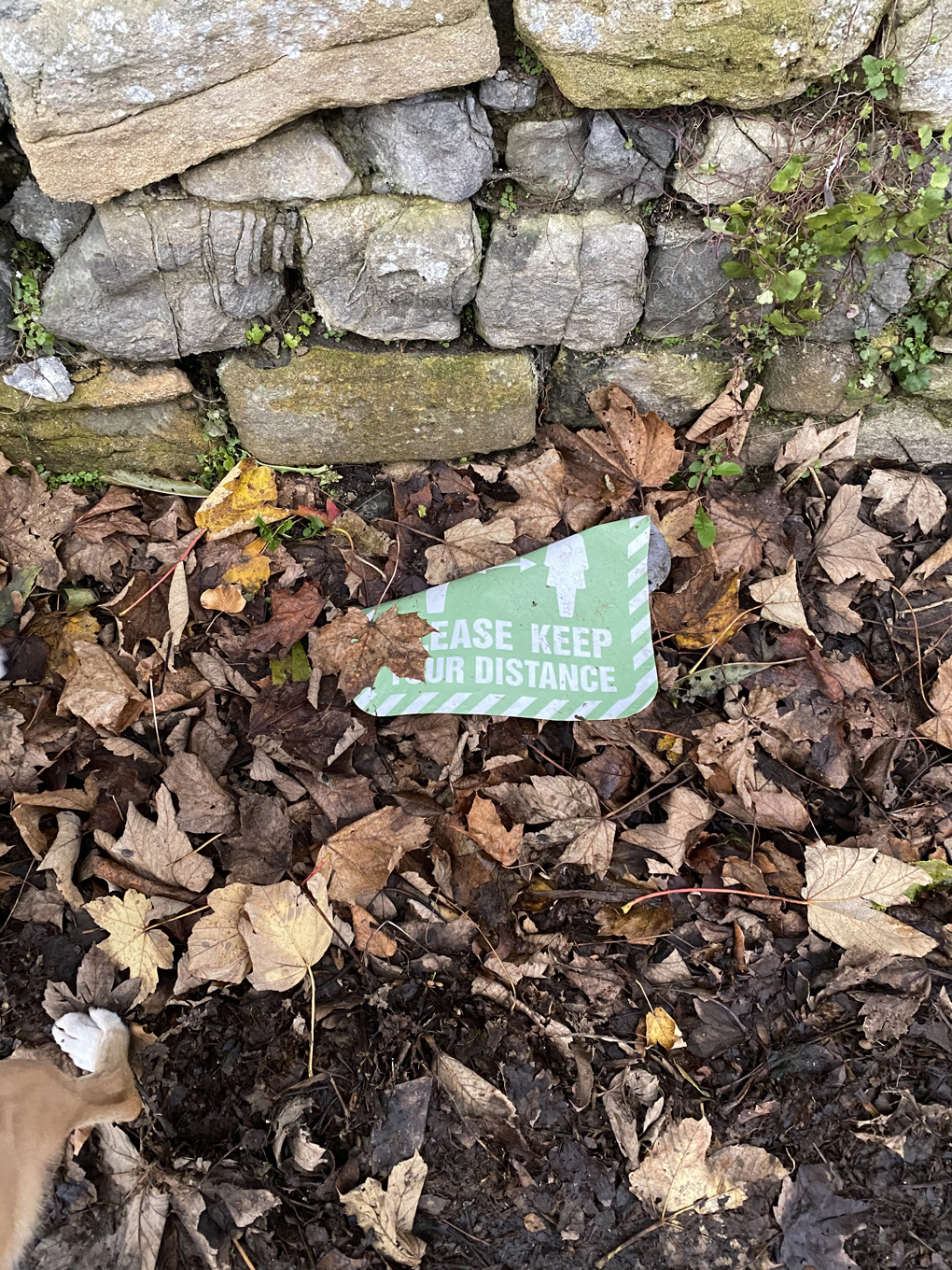 A discarded sign that reads “Please keep your distance” lying on the ground, partially covered in leaves
