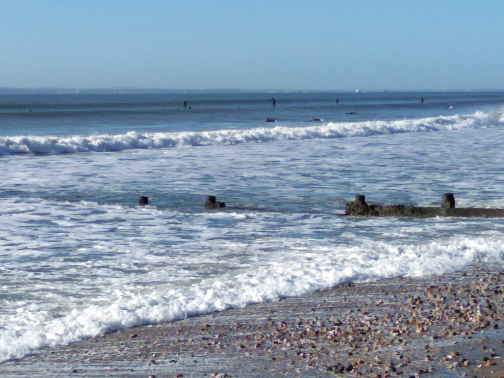 Rough sea and blue sky with some surfers  riding the waves