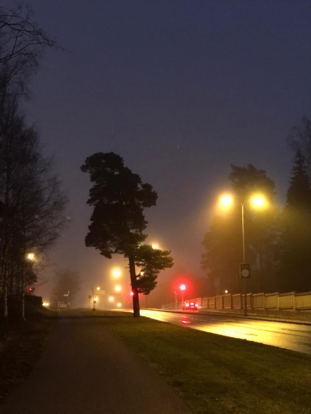 A silhouette of a tree against a dark misty sky.