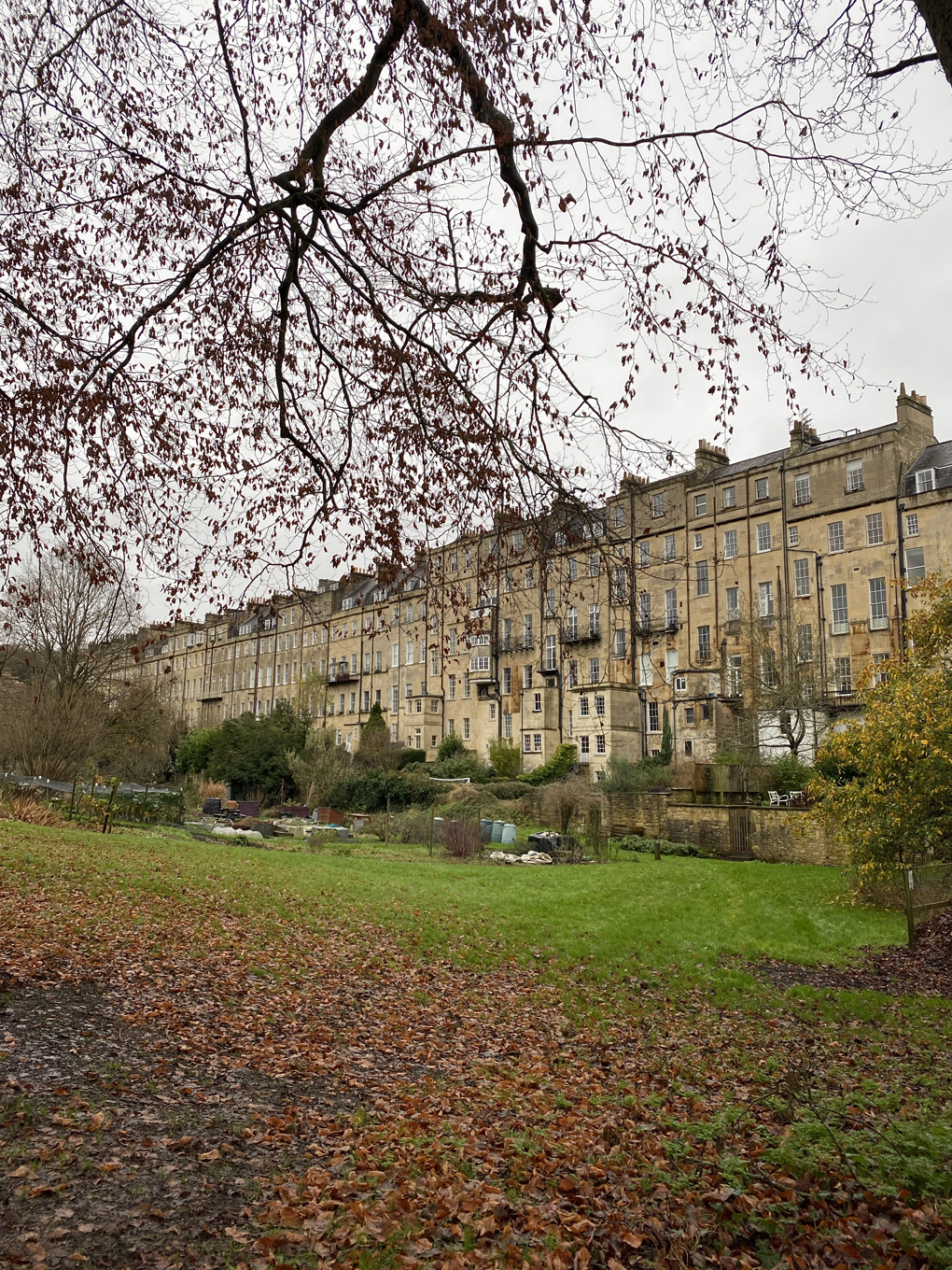 The back of a tall row of terraced houses in Bath stone, with allotments, trees and dead leaves in the foreground