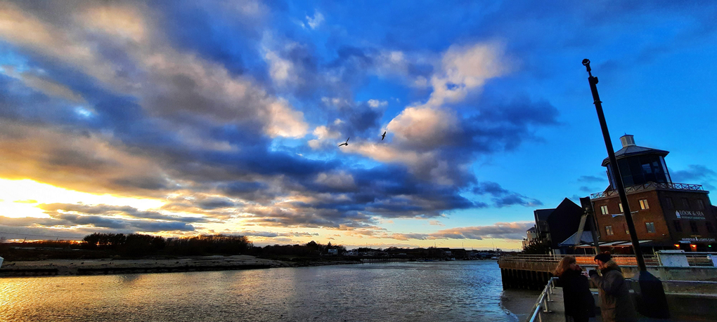 Birds over river