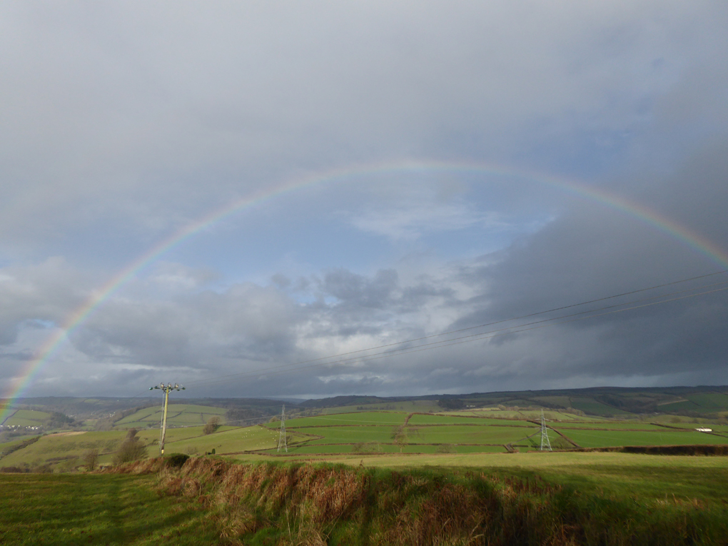 Rainbow