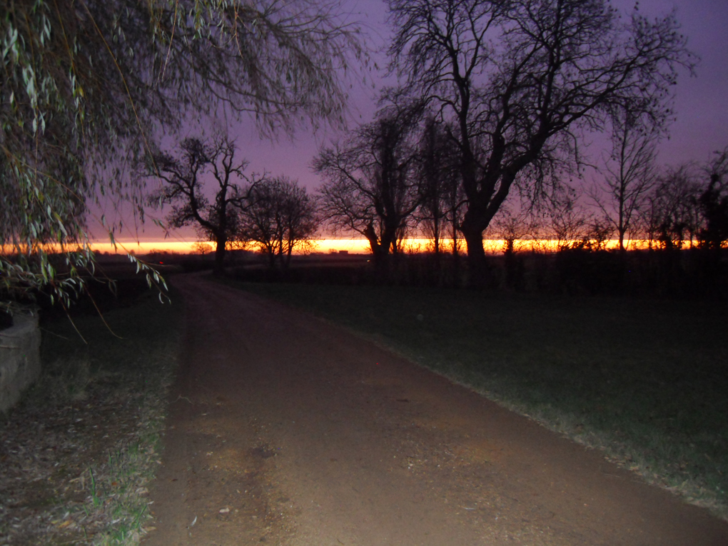 rural sunrise with trees and farm track