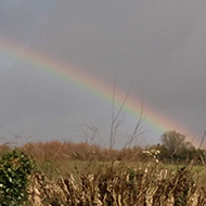 Rainbow against a back drop of dark grey clouds and green fields