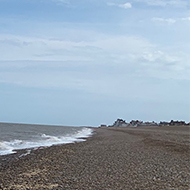 A stony coast