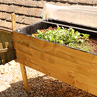 Vegetable Table