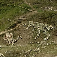 A series of dinosaur pictures made from rocks laid out in a quarry.