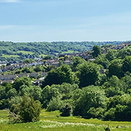 Photo of a hilly field with houses in the background