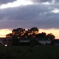 Sunset colours mixed with clouds and the dark outline of a tree